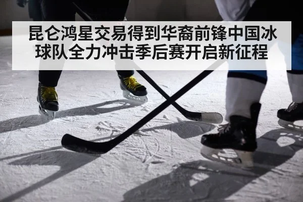 昆仑鸿星交易得到华裔前锋中国冰球队全力冲击季后赛开启新征程
